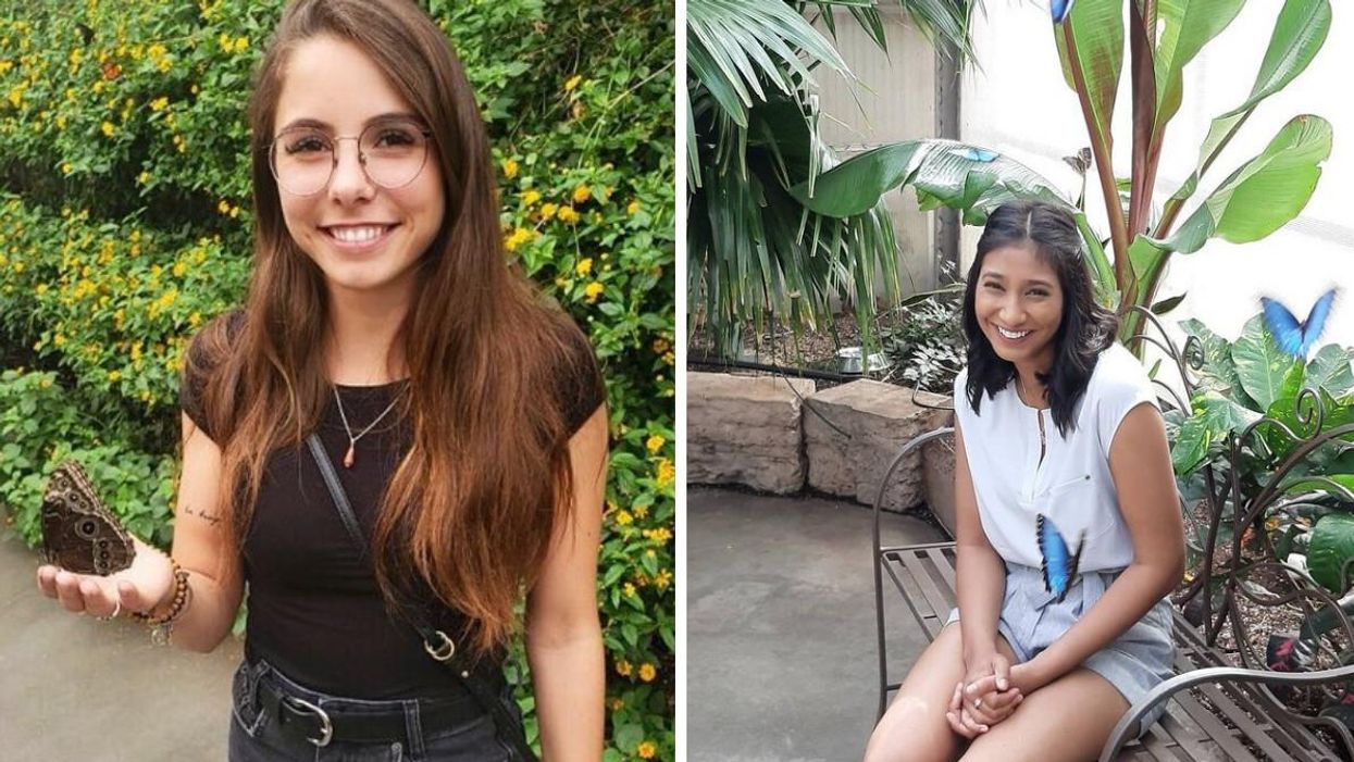 Cette papillonnerie à Chambly compte plus de 500 papillons en liberté