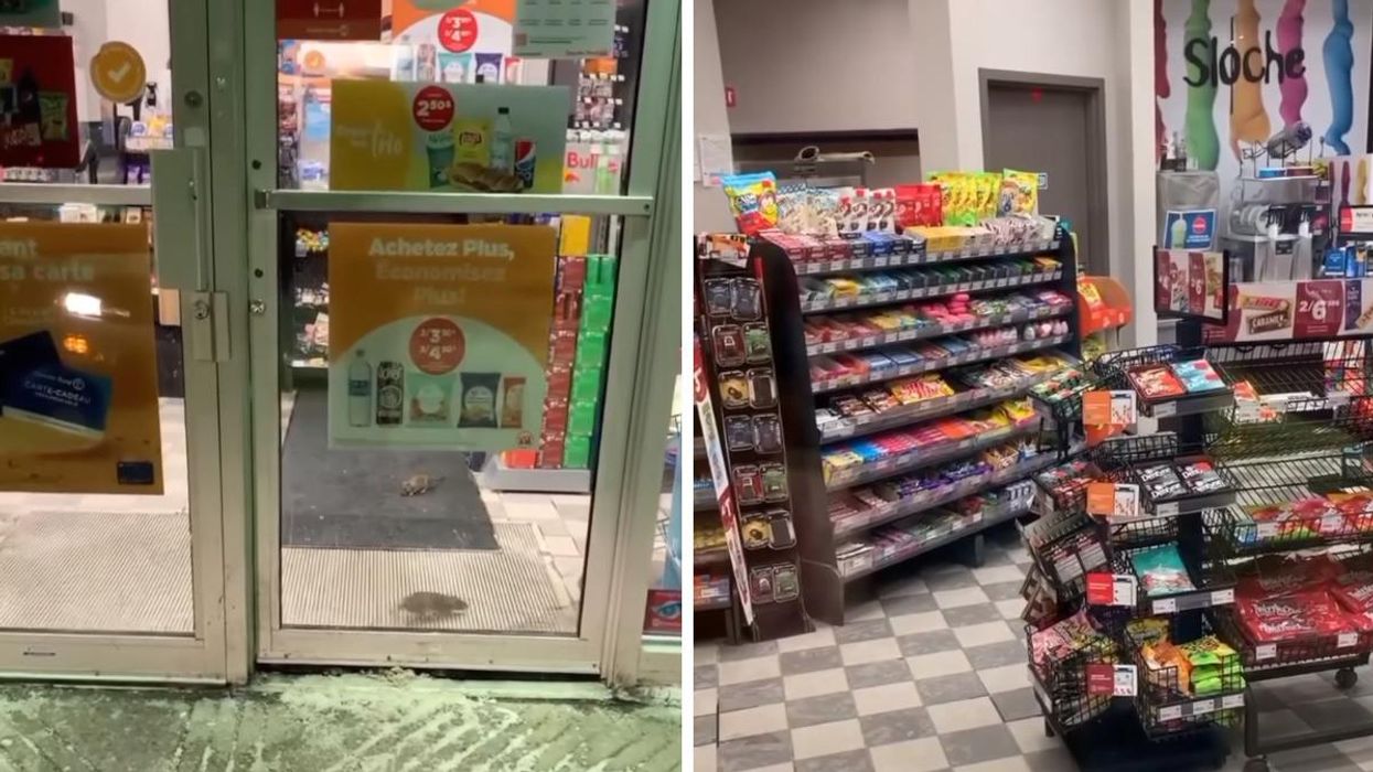 Cette vidéo montre un Couche-Tard de Montréal infesté de rats et l'entreprise réagit