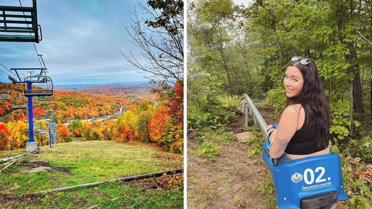 Chairlift surrounded by fall colours at Camp Fortune. Right: Mountain coaster through a forest.