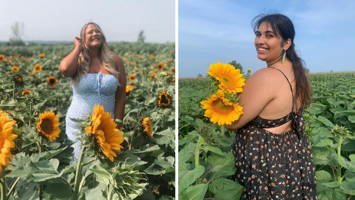 Champ de tournesols : Tu peux cueillir ton bouquet à la Ferme Forget à Laval