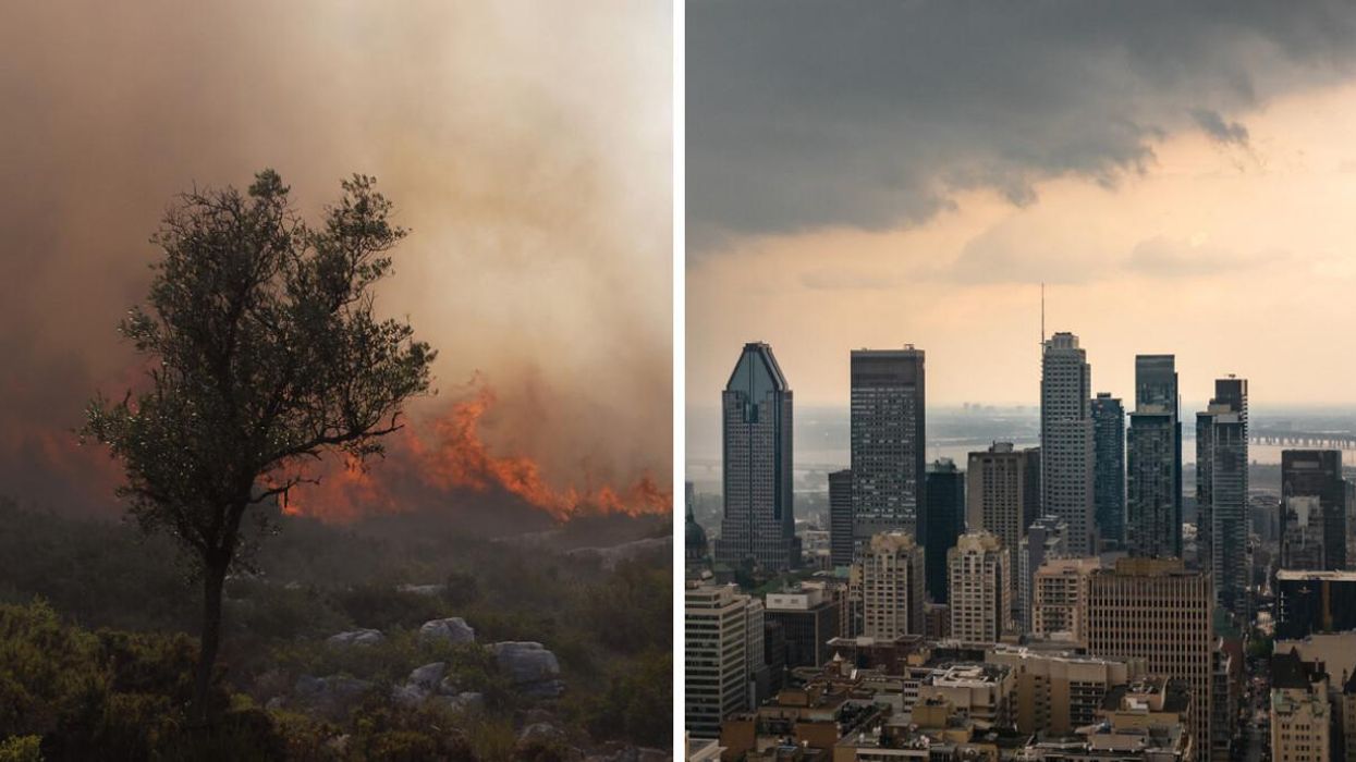 Changements climatiques : Le Québec sera durement touché dans le futur