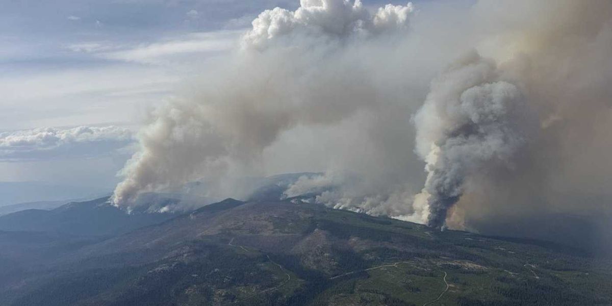Residents warned to prepare for changes when returning home after a wildfire Residents warned to prepare for changes when returning home after a wildfire