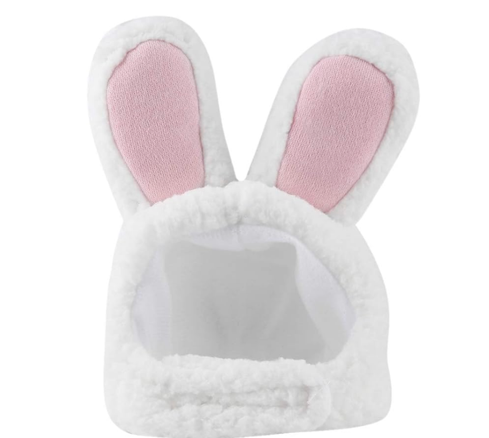 Chapeau de lapin pour chat.