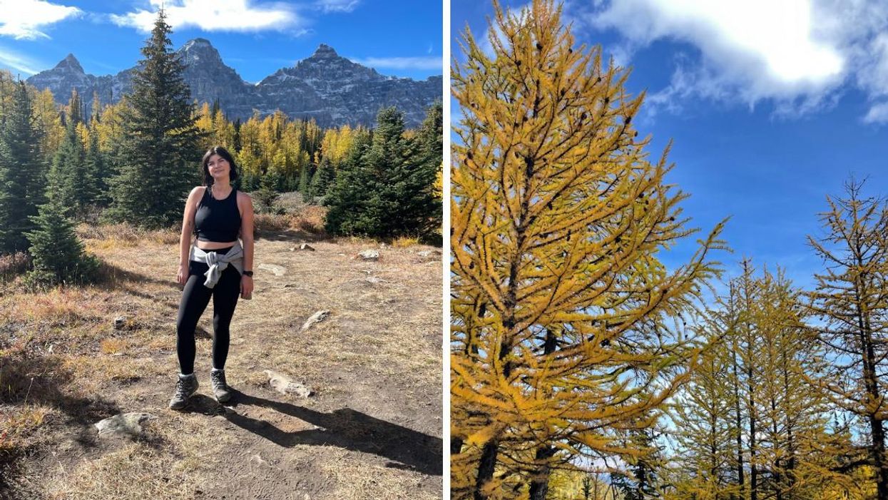Charlie Hart at Larch Valley. Right: Larches in Fall.