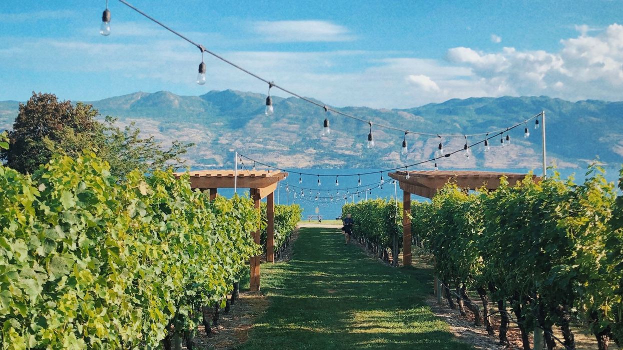 Cheap Flights From Vancouver To Kelowna Are Just $40 This Fall