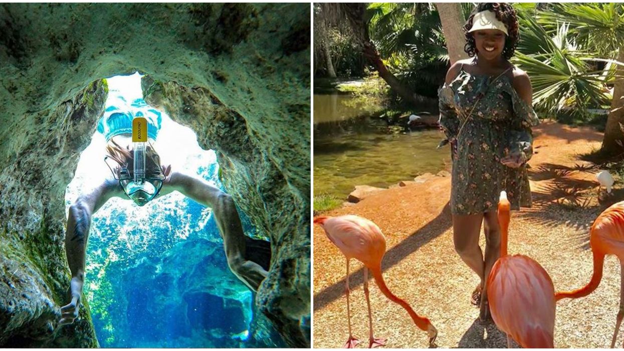 Cheap Florida Nature Escapes For When You Need A Break From The City