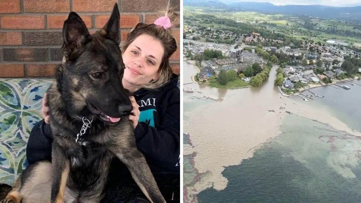 Chelsea Cardno and her dog, JJ. Right: Mission Creek flood in Kelowna, B.C.