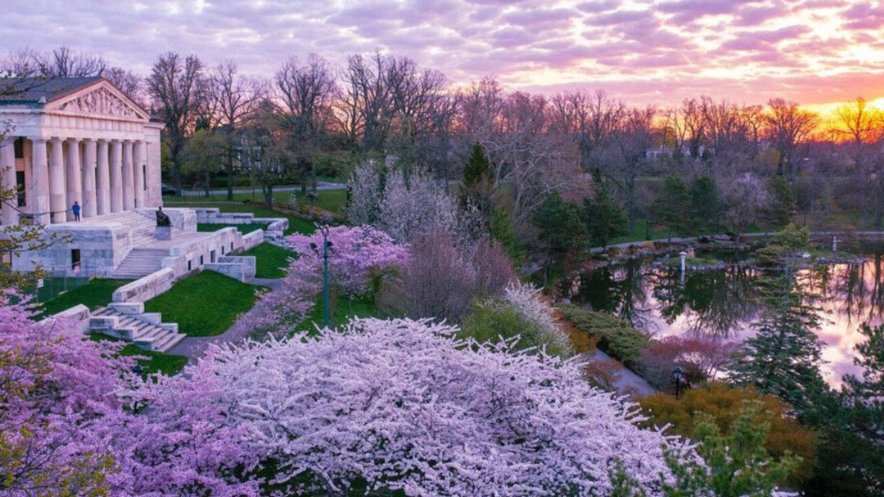 Cherry blossom festival near Toronto.