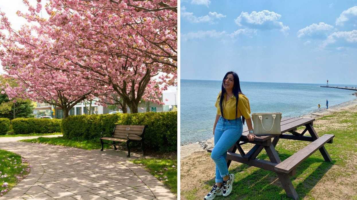 Cherry blossoms in a park. Right: A person standing by a lake.