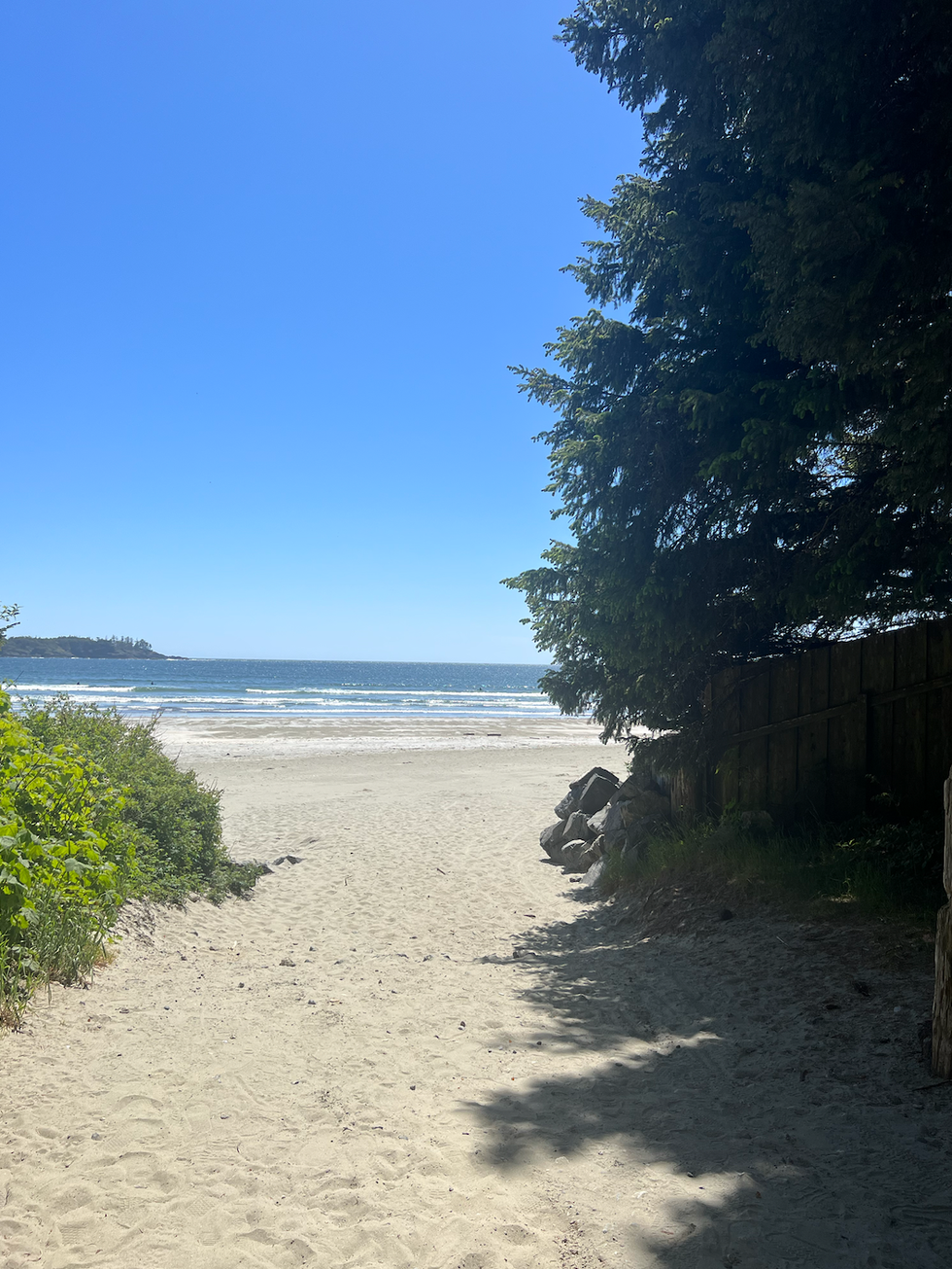 Chesterman Beach in Tofino.