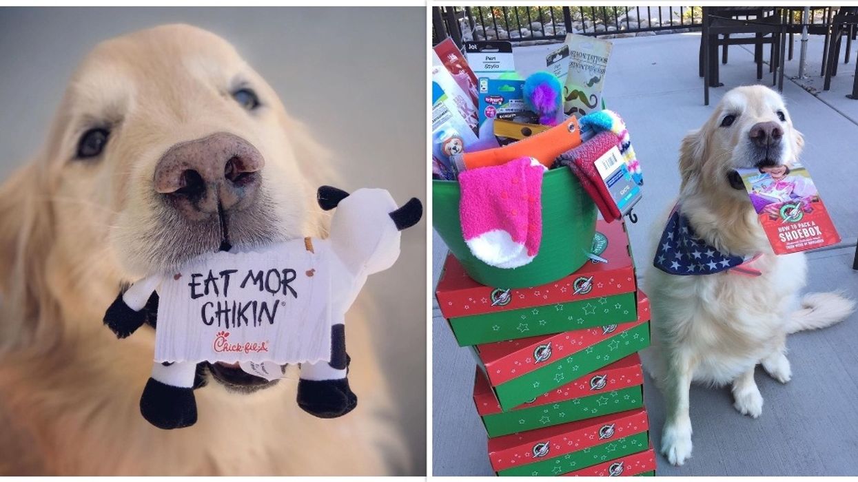 Chick-fil-A Chapel Hill North Carolina Dog Delivers Food