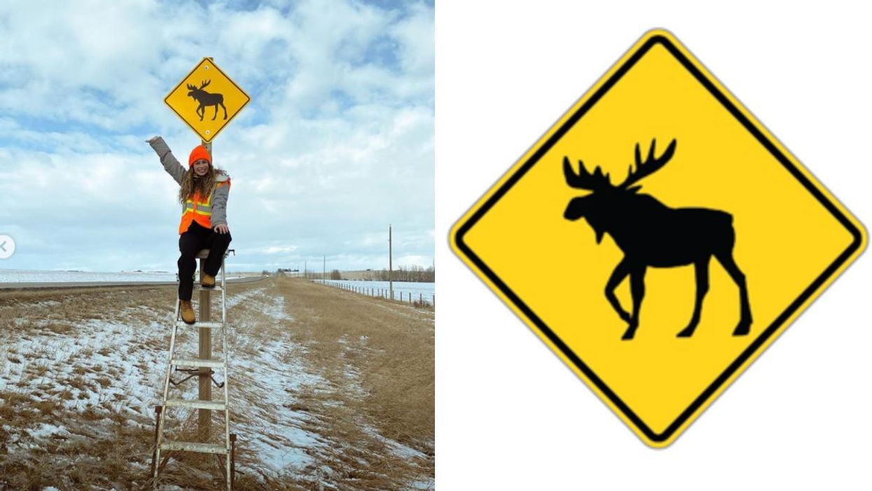 Chloë Chapdelaine shows off the new moose crossing sign. Right: The new moose crossing sign.