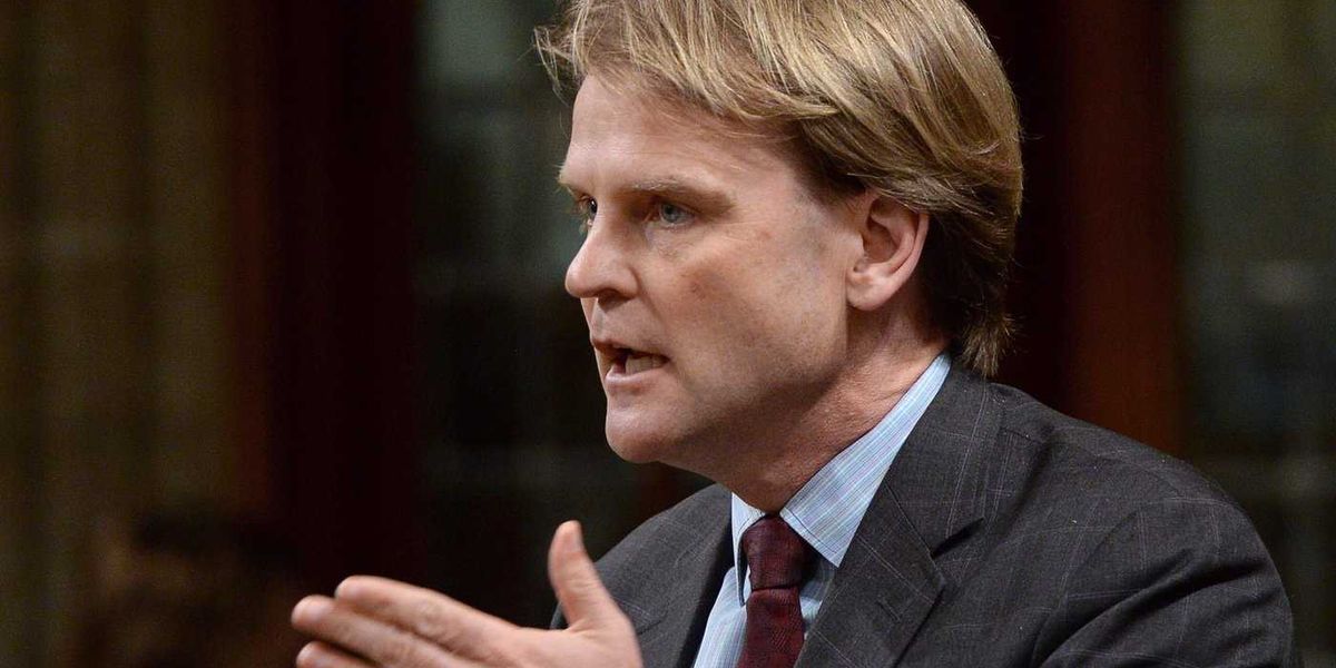 Chris Alexander drops out of Toronto’s mayoral race as advance voting begins, Life in canada Chris Alexander drops out of Toronto’s mayoral race as advance voting begins, Life in canada