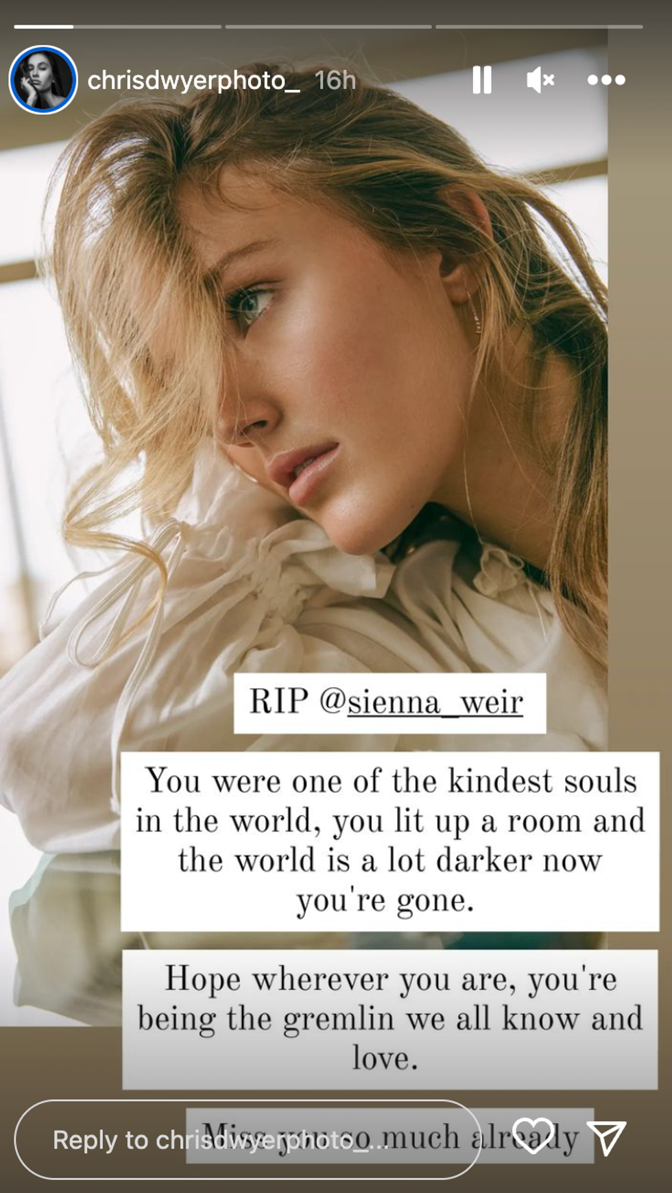 Chris Dwyer's tribute to Sienna Weir.