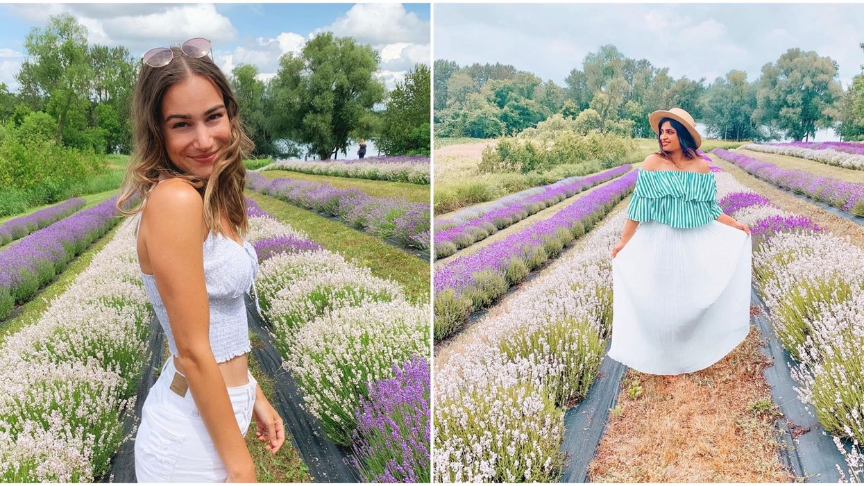 Christel Lake Lavender Farm Is A Purple Hidden Gem Outside Of Toronto