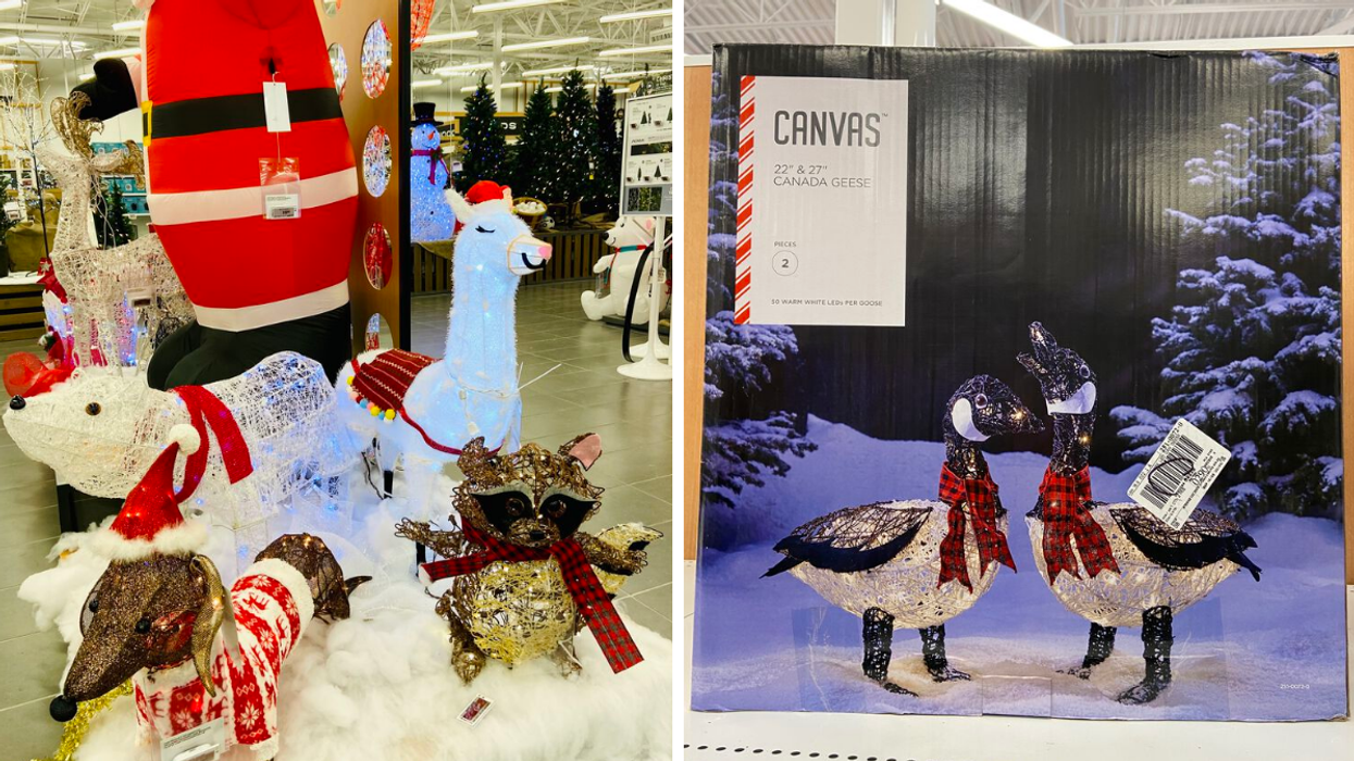 Christmas lawn decorations at Canadian Tire. Right: Canada Geese lawn ornaments.