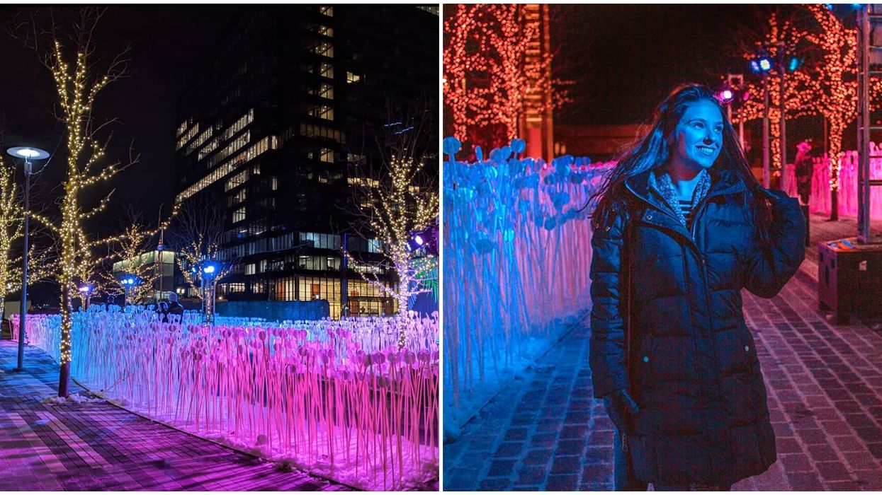 Christmas Lights Across Canada Will Have An All-New Twinkling Pathway This Year