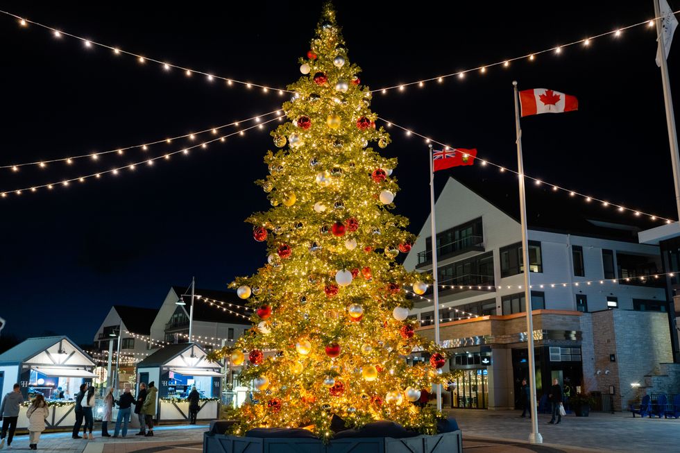 Christmas tree at Friday Harbour Holiday Market.