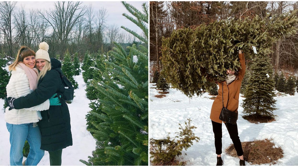 Christmas Tree Farm Near Ottawa Has Appeared In 4 Hallmark Movies