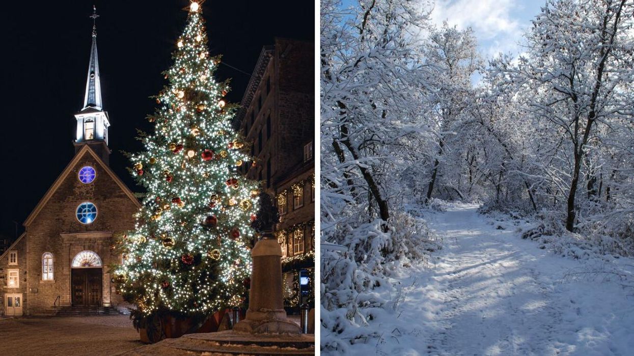 Christmas tree in a snow-covered square in Quebec. Right: Snow-covered tree-lined path in Ontario.