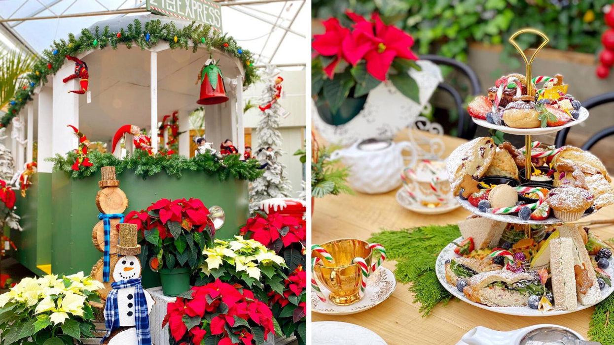 Christmas trolley display with poinsettias. Right: Christmas afternoon tea tray with candy canes.
