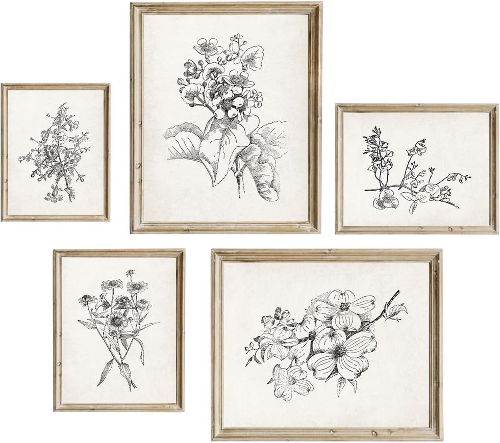 Cinq toiles murales botaniques noir sur cr\u00e8me.