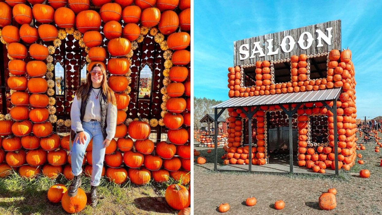 CitrouilleVille, le village de citrouilles près de Montréal.