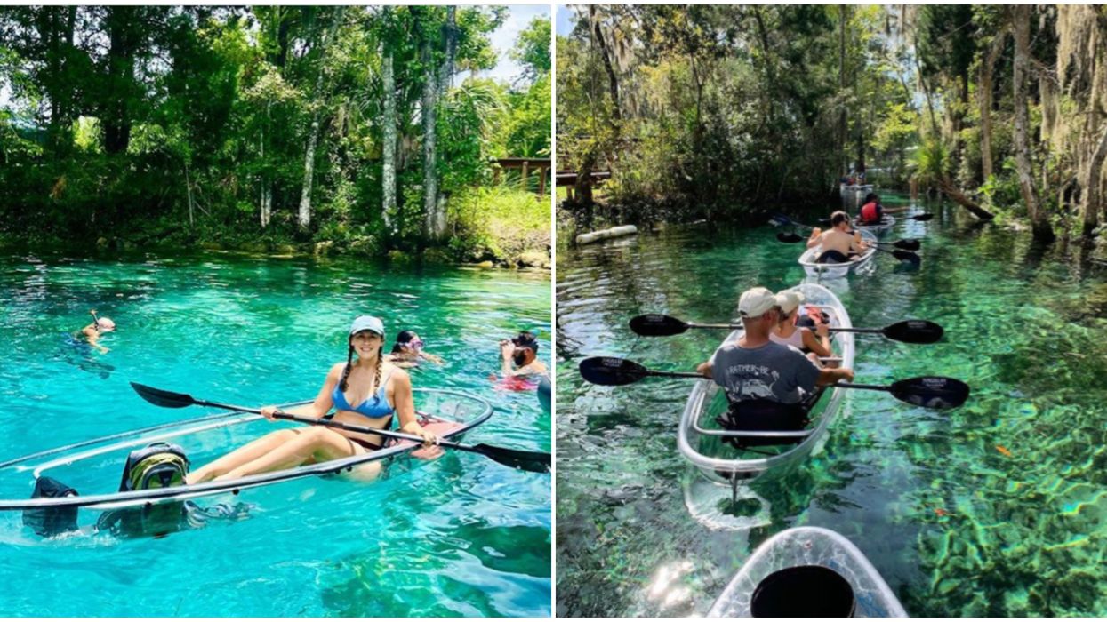 Clear Kayaking Tour Near Tampa Takes You Down A Jungle River