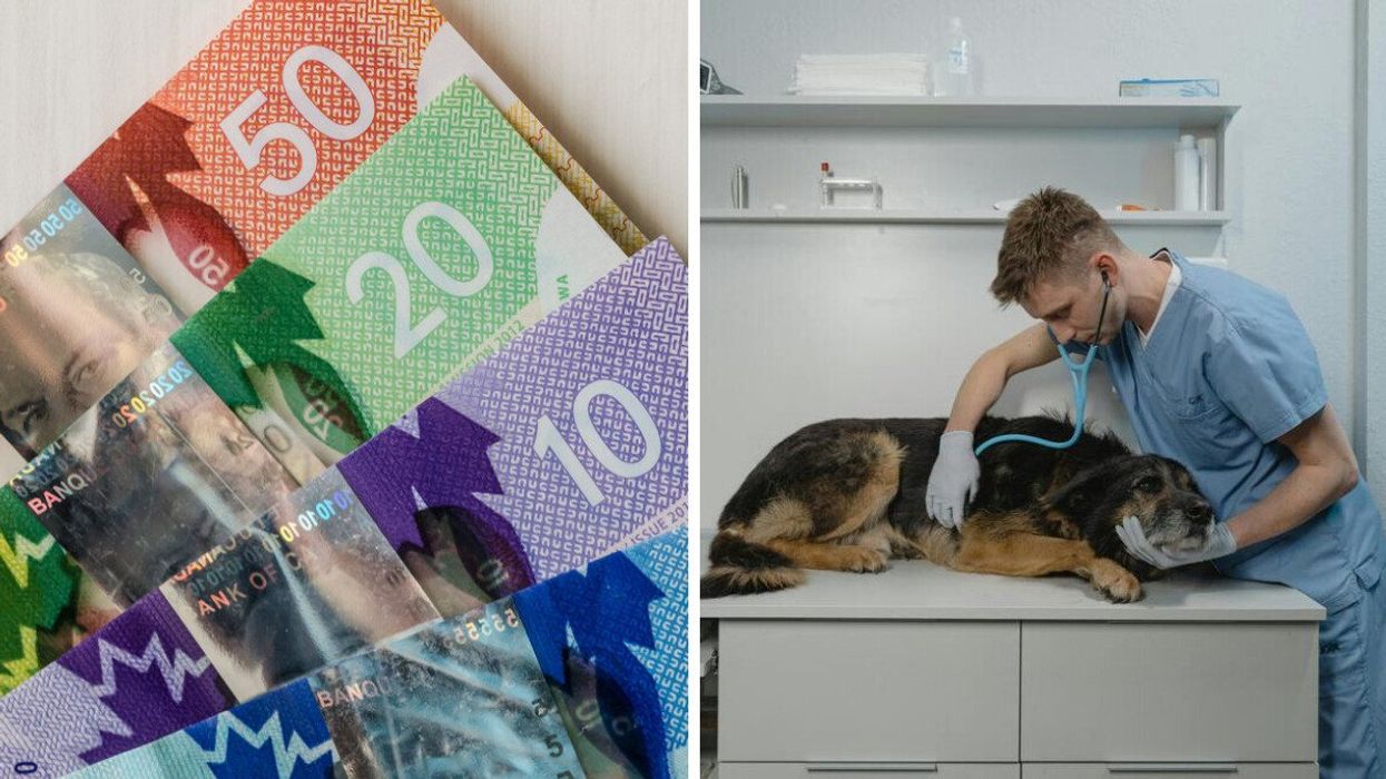 Close-up of Canadian banknotes in various denominations arranged in a fan shape. Right: Veterinarian using a stethoscope to examine a sick dog lying on an exam table in a clinic.