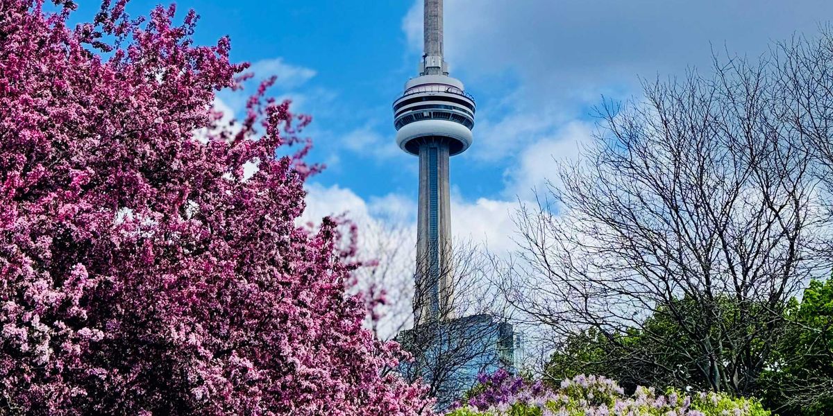Here’s what’s open and closed in Toronto on Easter Sunday Here’s what’s open and closed in Toronto on Easter Sunday