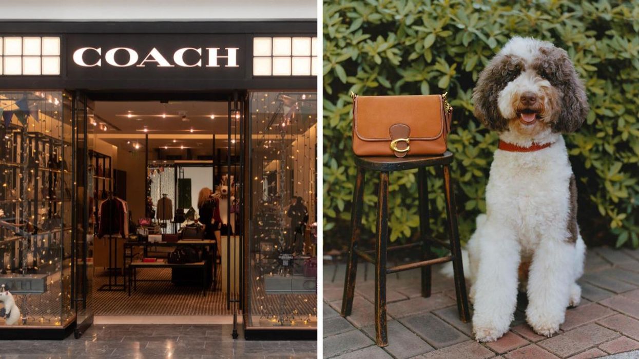 Coach Is Having A Black Friday Sale & You Can Save Up To 40% On Bags And So Much More