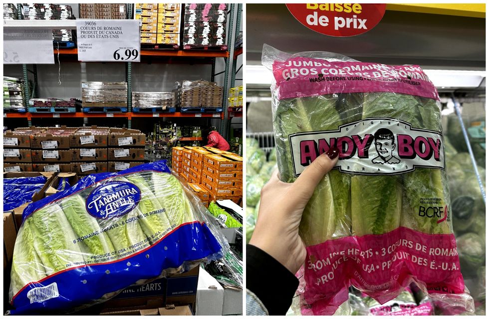 Coeurs de laitue romaine en vente au Costco. Droite : Coeurs de laitue romaine en vente au Maxi.