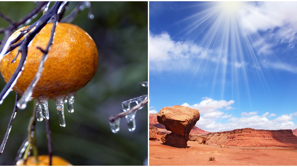 Cold Weather In Florida This Week Will Feel Cooler Than Colorado