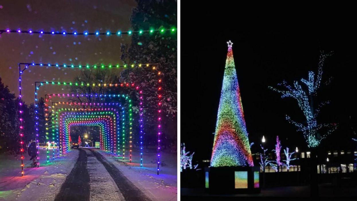 Colourful light tunnel. Right: Christmas lights and trees.