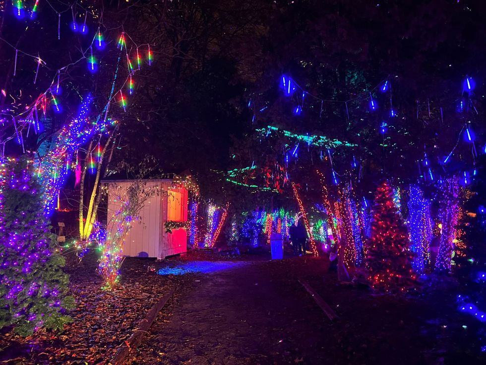 Colourful lights in the garden.