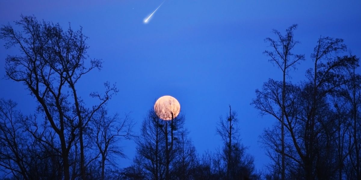 Comet NEOWISE Will Shoot Across Georgia Skies This Month Narcity Comet NEOWISE Will Shoot Across Georgia Skies This Month Narcity