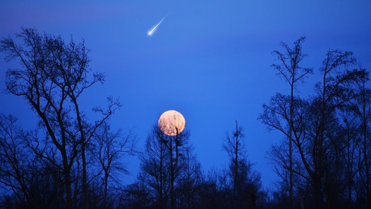 Comet NEOWISE Will Shoot Across Georgia Skies This Month