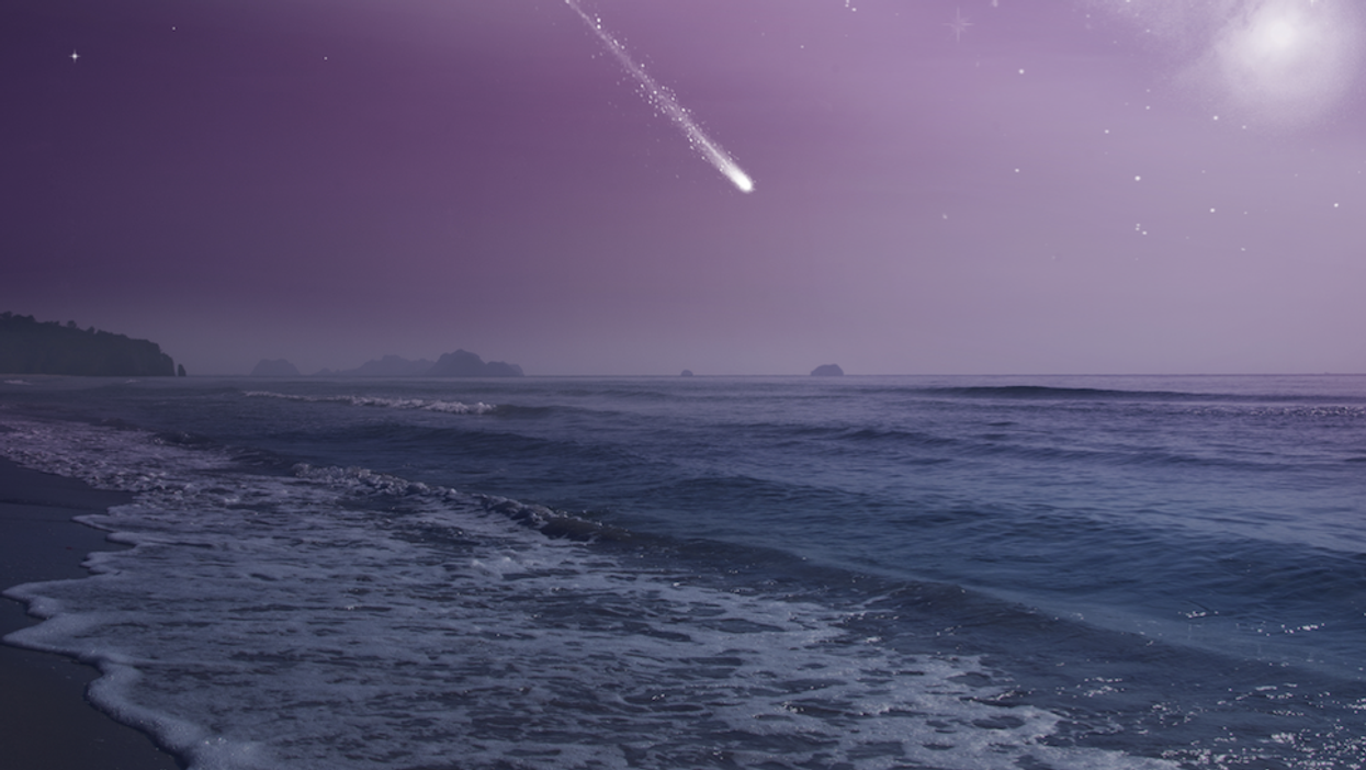 Comet NEOWISE Will Zoom Across Florida Skies This Month (PHOTOS)