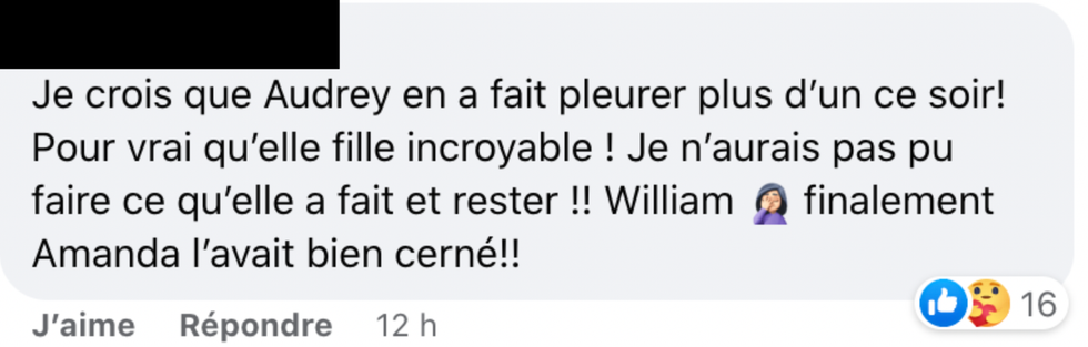 Commentaire Facebook.