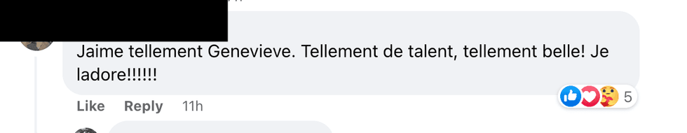 Commentaire sur Facebook.