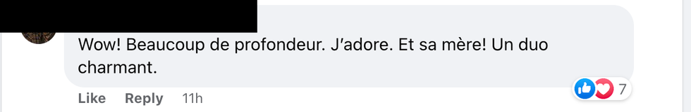 Commentaire sur Facebook.