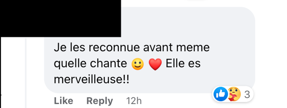Commentaire sur Facebook.