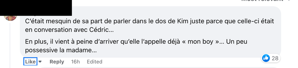 Commentaire sur Facebook.