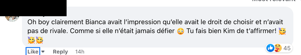 Commentaire sur Facebook.