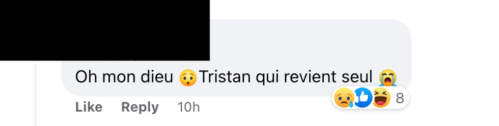 Commentaire sur Facebook.