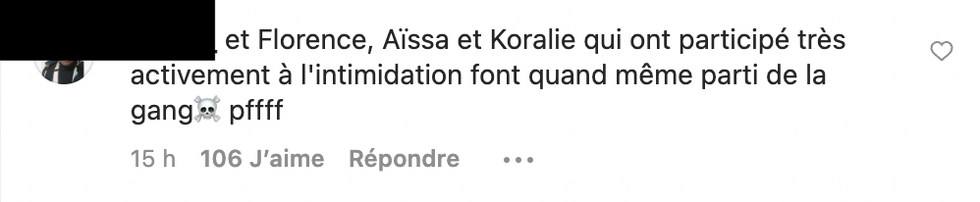 Commentaire sur Instagram.