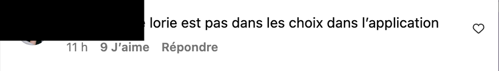 Commentaire sur Instagram.