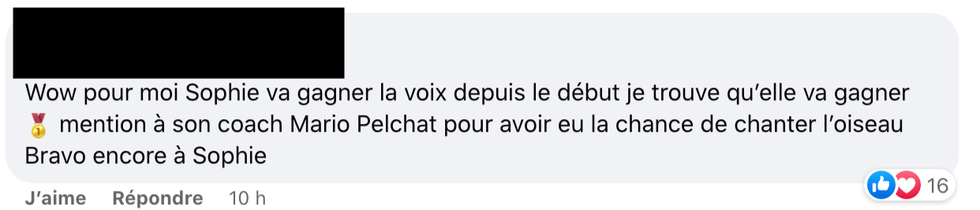 Commentaires sur Facebook.