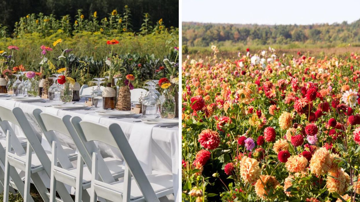 Communal dining table with flowers in a field. Right: Flowers at Andrew's Farm.