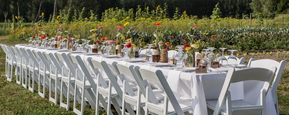 Communal dining table with flowers in a field.